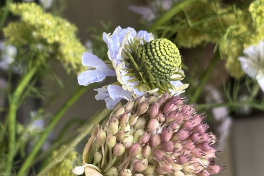 Veld boeket Blauw / Groen